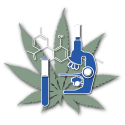 how medical cannabis works